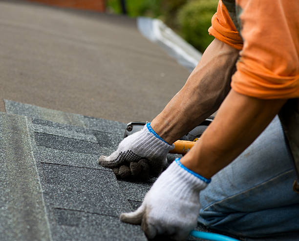 Best Roof Repair Services  in Mack, OH