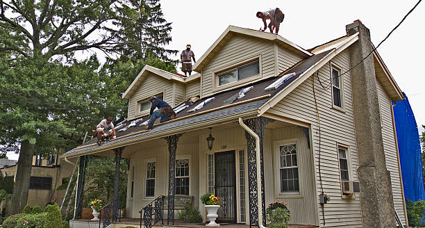 Best Roof Leak Repair  in Mack, OH