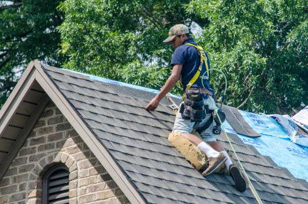 Best Roof Gutter Cleaning  in Mack, OH